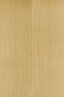 FA01 